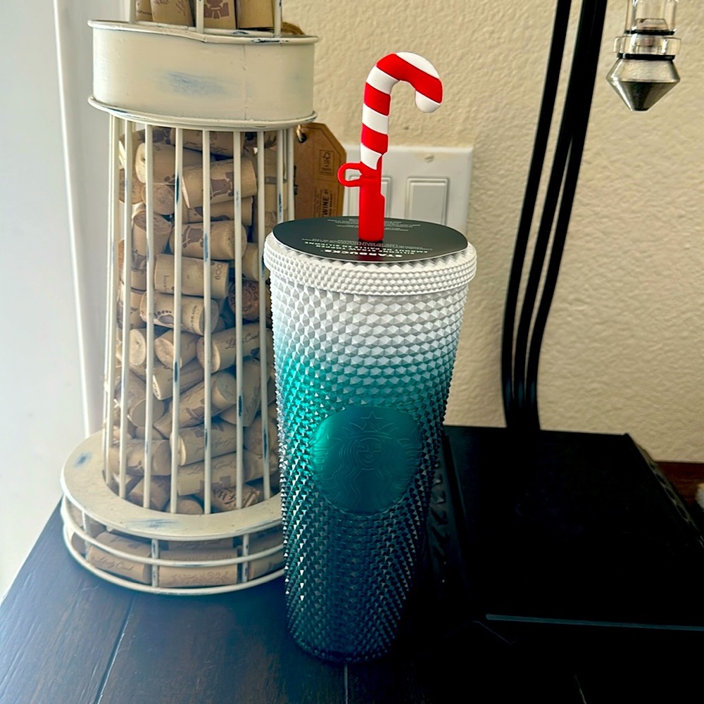 Limited Edition Holiday Starbucks Disney World Venti Tumbler with Straw Topper